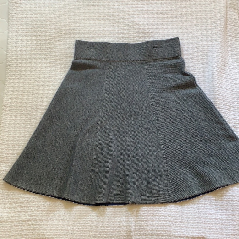 Ann Taylor skirt
